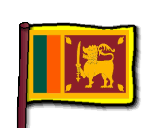 Sri Lanka flag yellow