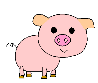 pig1