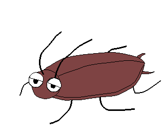 cockroach0